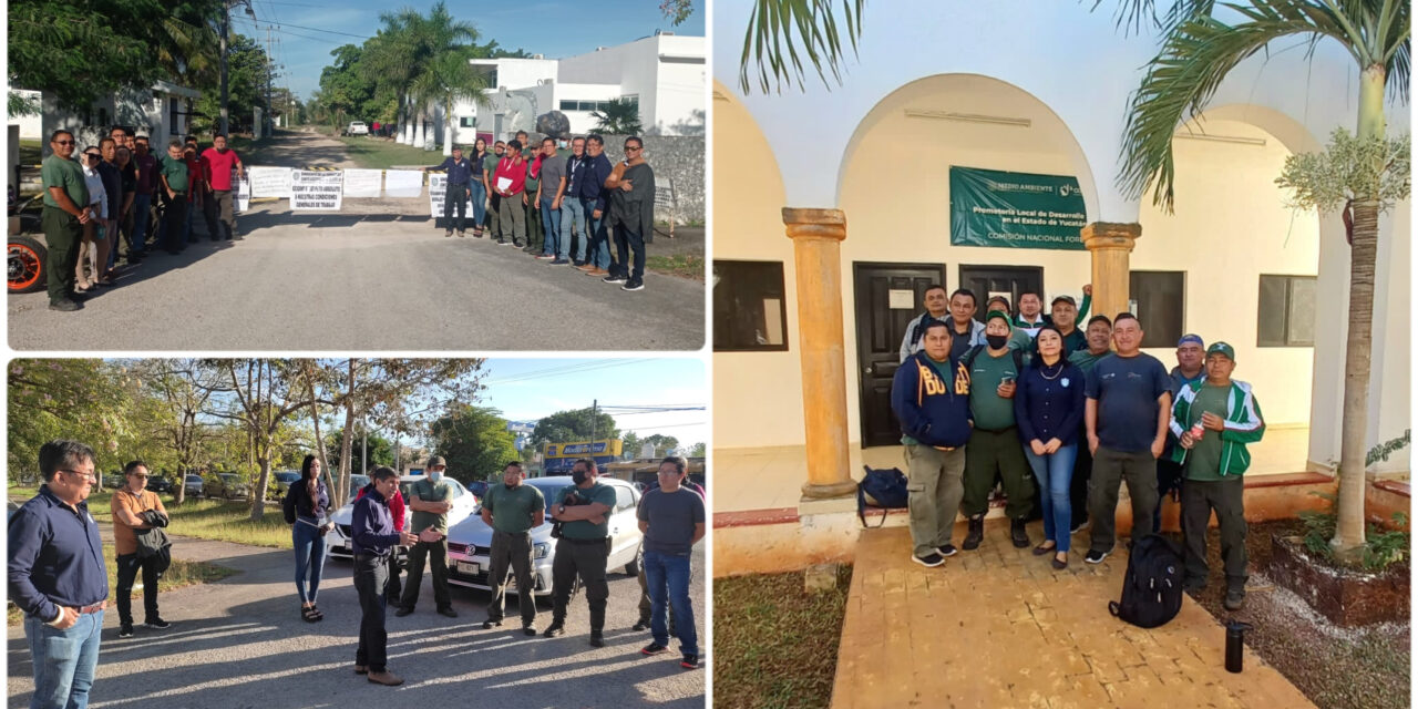 Bloquean oficinas de Conafor al sur de Mérida