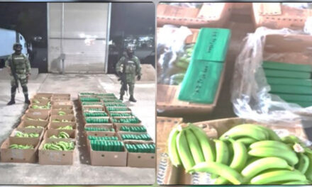 De Tapachula a CdMx: llevaban cocaína entre plátanos