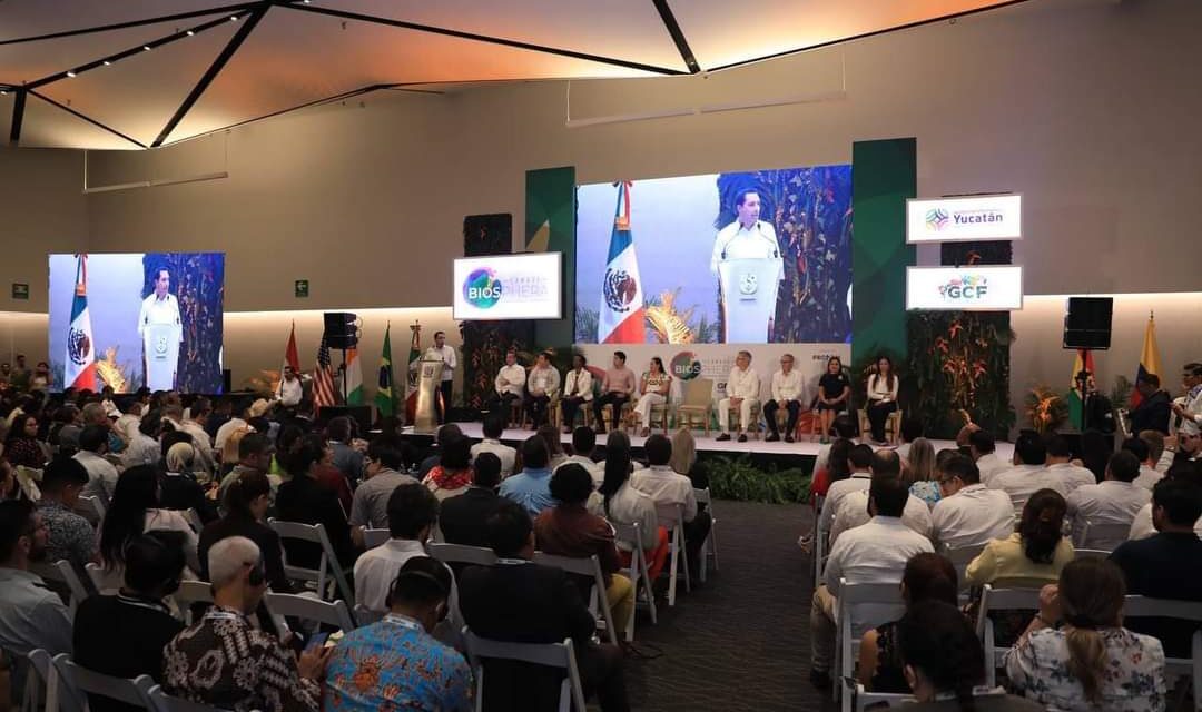 Reflexionan en Yucatán sobre salud del planeta, de clima, selvas y bosques