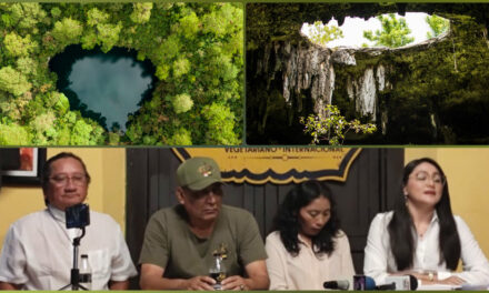 Emiten amparo provisional histórico para protección del Anillo de Cenotes
