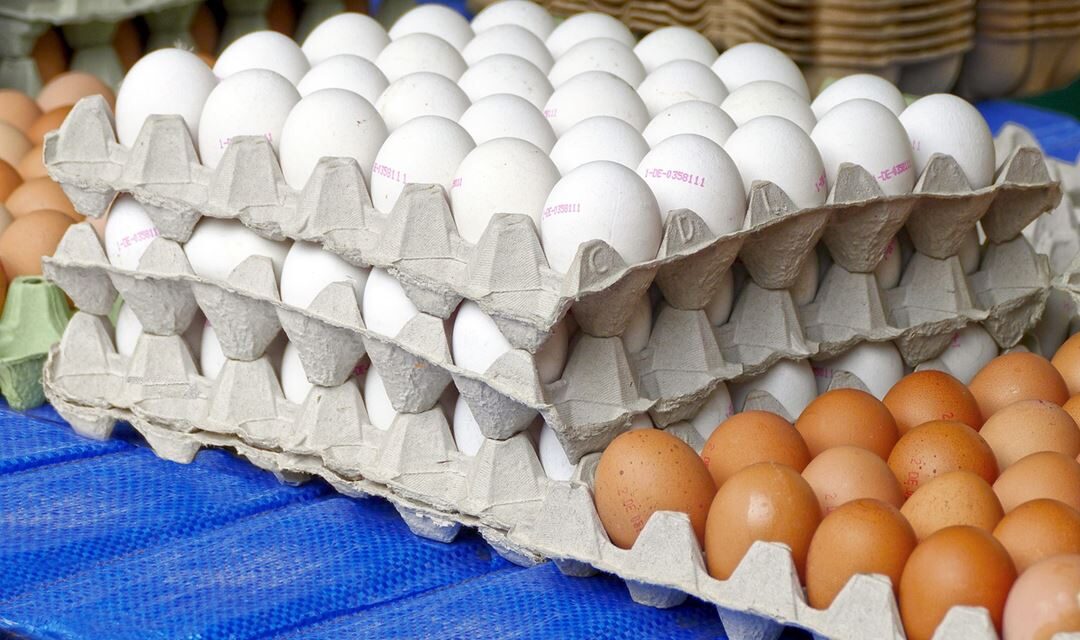‘Controlan’ gripe aviar, pero siguen altos precios de huevo y pollo