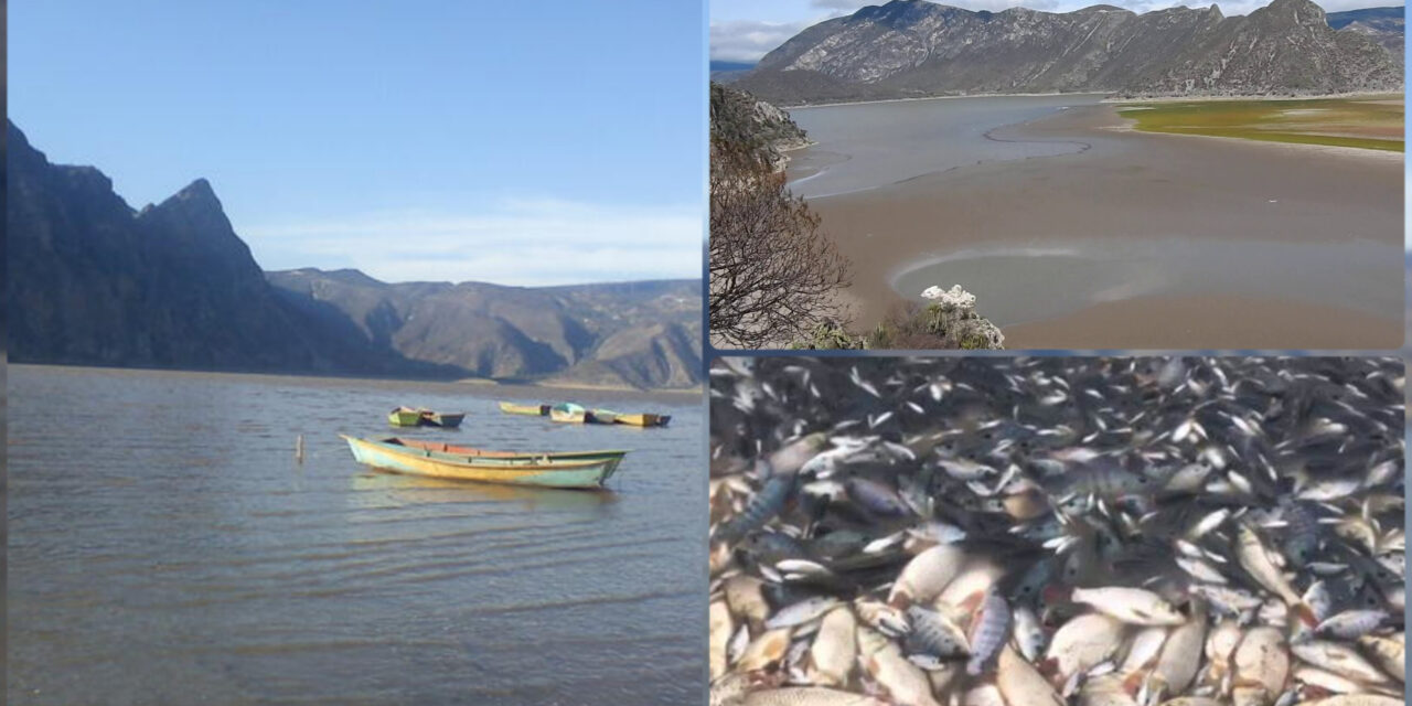 Desaparece Laguna de Metztitlán, en Hidalgo, por sequía y calor