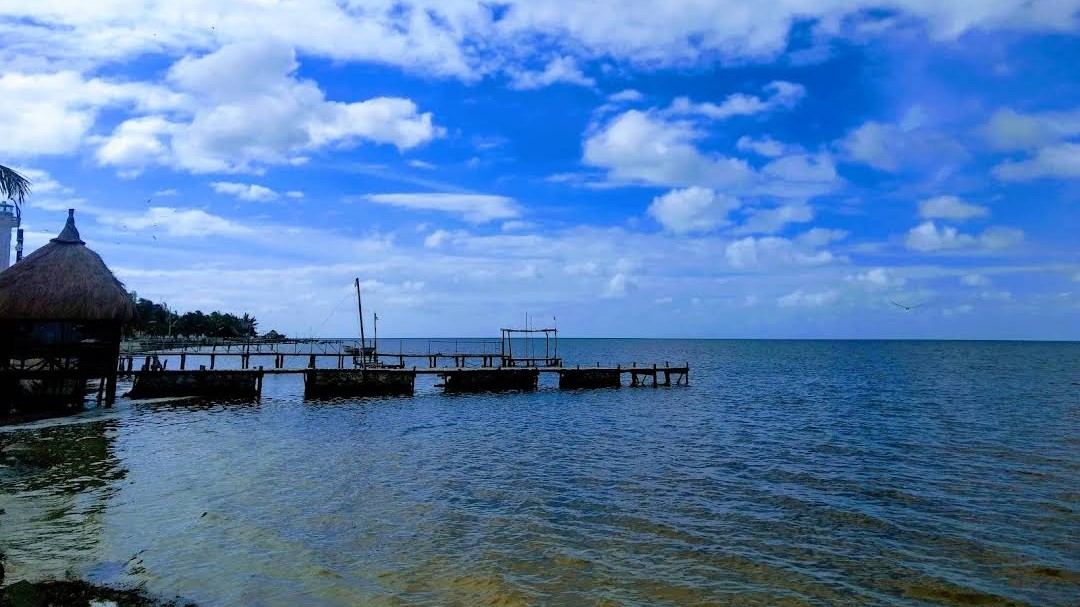 ¡Aguas: playa de Dzilam, a un paso de ser no apta para bañarse, por excrementos!