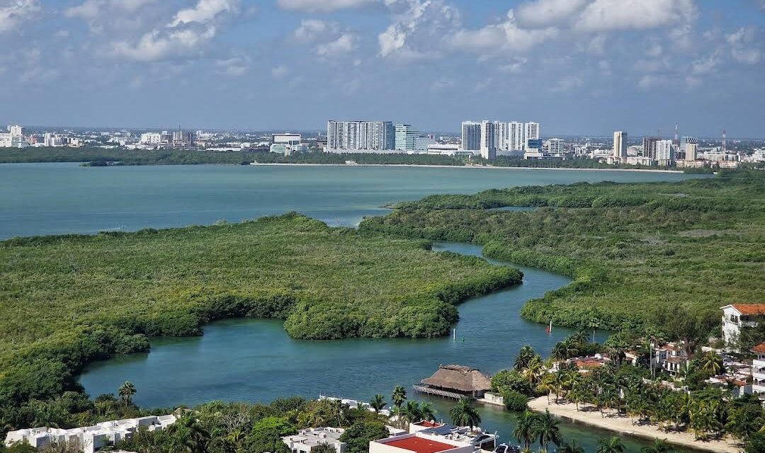 Movilidad en caribe mexicano: A regulación plataformas digitales y taxis