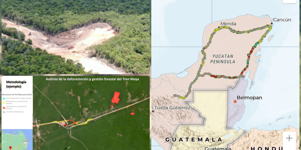 Deforestación en ruta del Tren Maya; tramo Izamal – Cancún