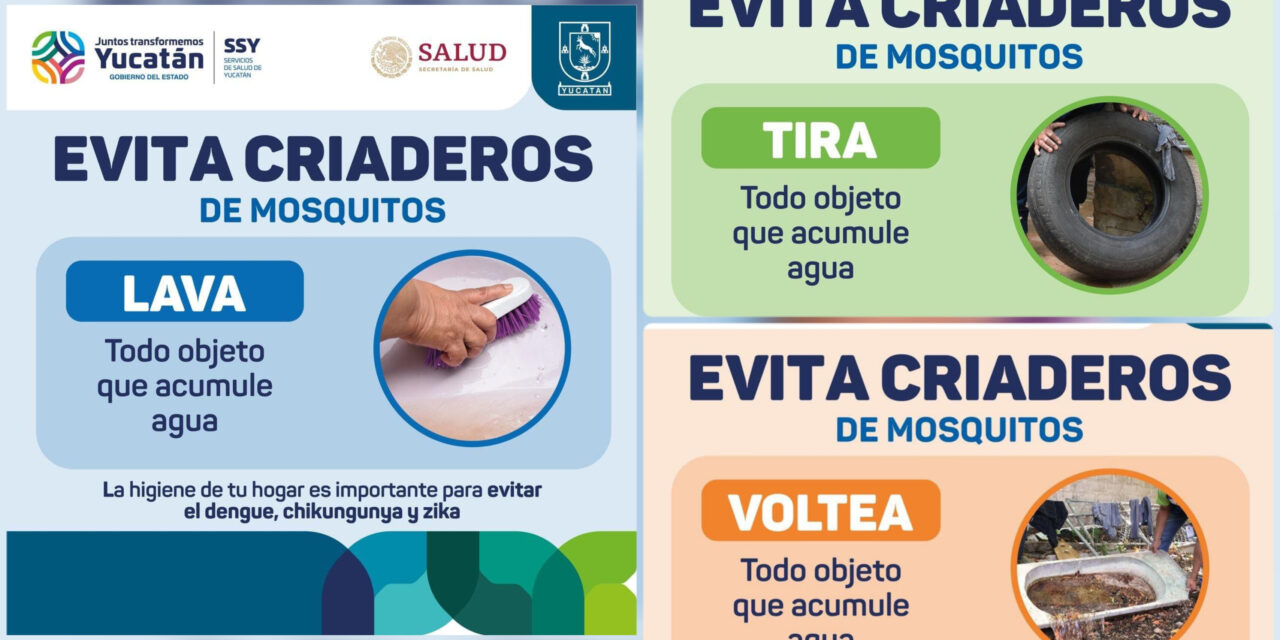 Prevención contra dengue: mira qué sectores de Mérida y municipios del interior