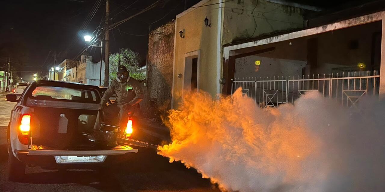 Luchan contra dengue en municipios más poblados de Yucatán