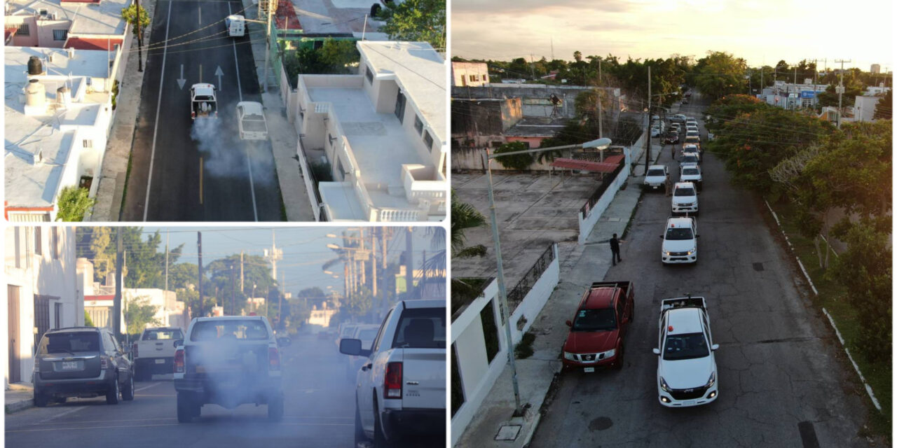 Focalizan lucha contra dengue en Mérida y otros seis municipios