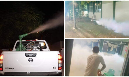 Atención emergente por dengue en 86 escuelas de Mérida