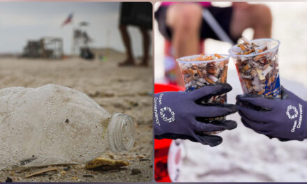Acción contra basura en costas y cuerpos de agua de Quintana Roo