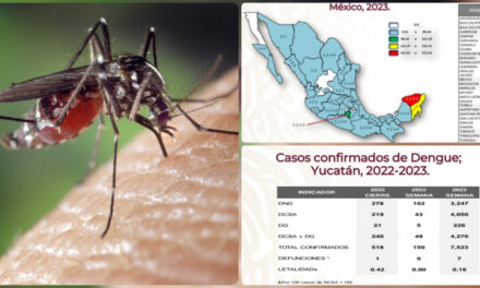 Dengue imparable: está en todos los municipios de Yucatán