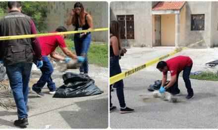 Reportan matanza de perros y gatos en Villa Magna, Mérida