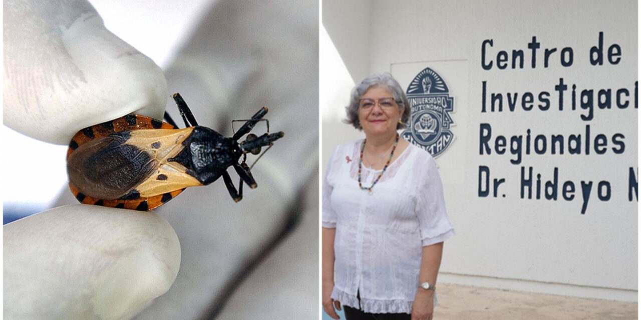 Inteligencia Artificial en medicina y el Chagas en Yucatán