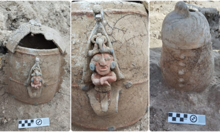Salvan urna funeraria prehispánica en Tramo 7 Tren Maya