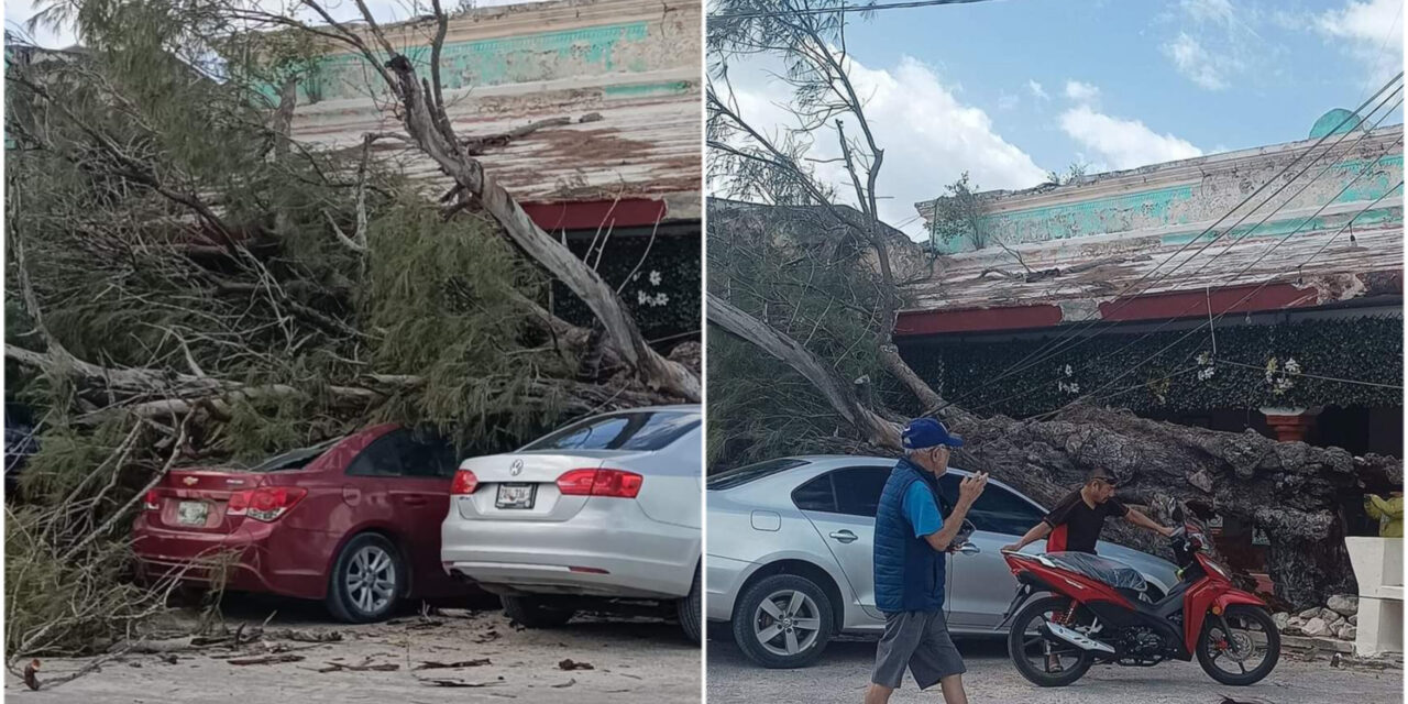 Ráfagas violentas derriban árboles y cables con afectaciones leves por ahora