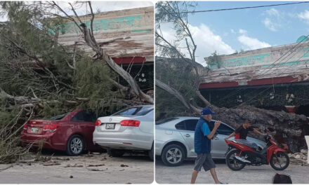Ráfagas violentas derriban árboles y cables con afectaciones leves por ahora