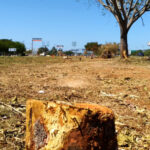 Muestra sequía freno en Yucatán: impacto ‘leve’ en 15 municipios
