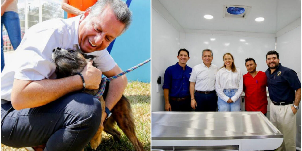 Aprovecha en Mérida esterilización de mascotas a bajo costo