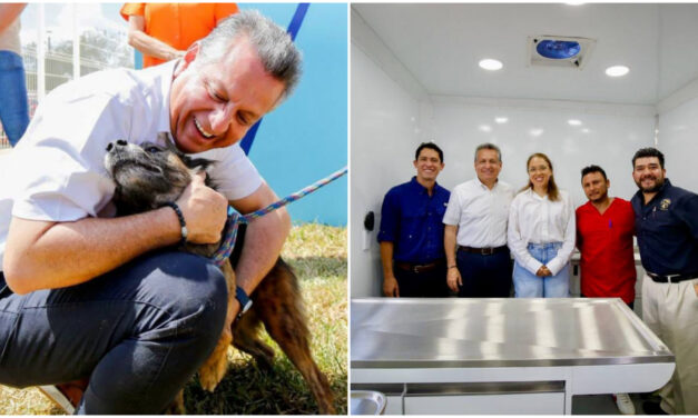 Aprovecha en Mérida esterilización de mascotas a bajo costo
