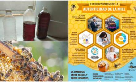 “Miel” adulterada gana espacios en mercado europeo; grave impacto