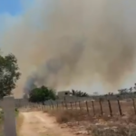 Incendios forestales en Tekax afectan reservas naturales