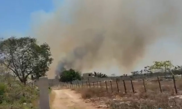Incendios forestales en Tekax afectan reservas naturales