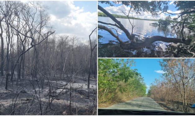 Abuelo Filiberto, de 77 años, lucha contra el fuego en Laguna Kaná