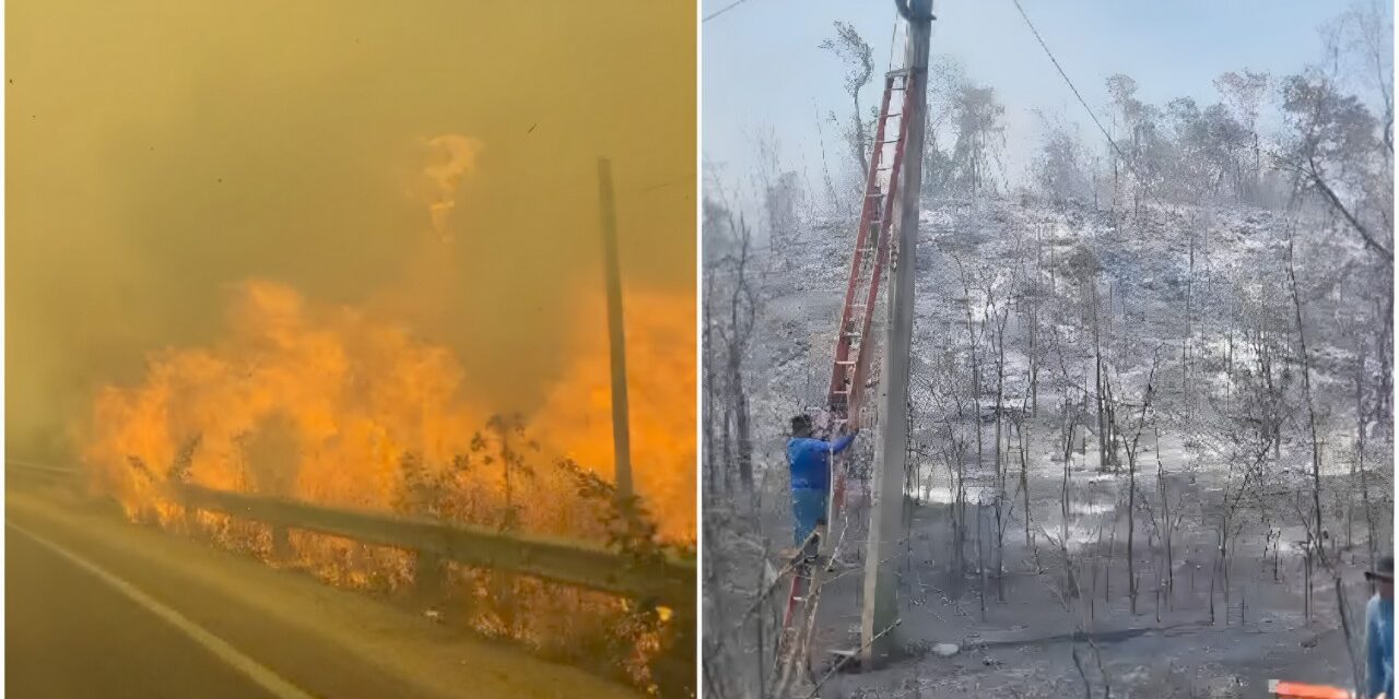 Calor histórico dispara incendios en península Yucatán, junto a carreteras