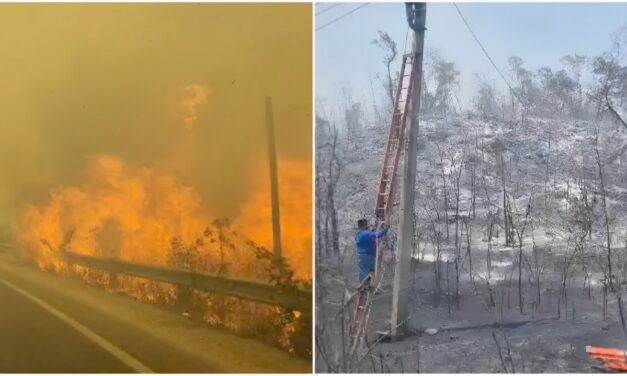 Calor histórico dispara incendios en península Yucatán, junto a carreteras