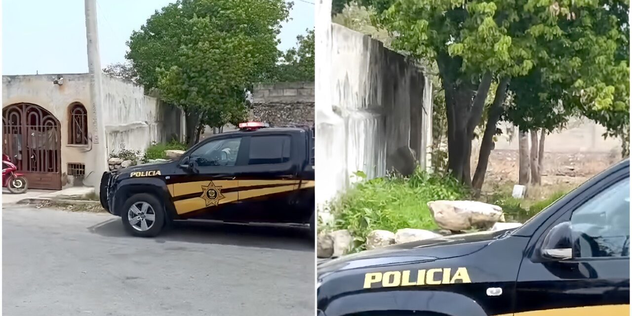 Perece atacado por cerdo en patio de casa en El Roble Agrícola