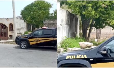 Perece atacado por cerdo en patio de casa en El Roble Agrícola