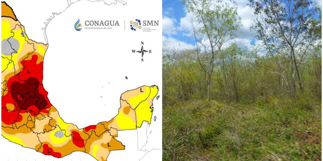 Así ha golpeado la sequía en península de Yucatán. ¿Lluvias en puerta?
