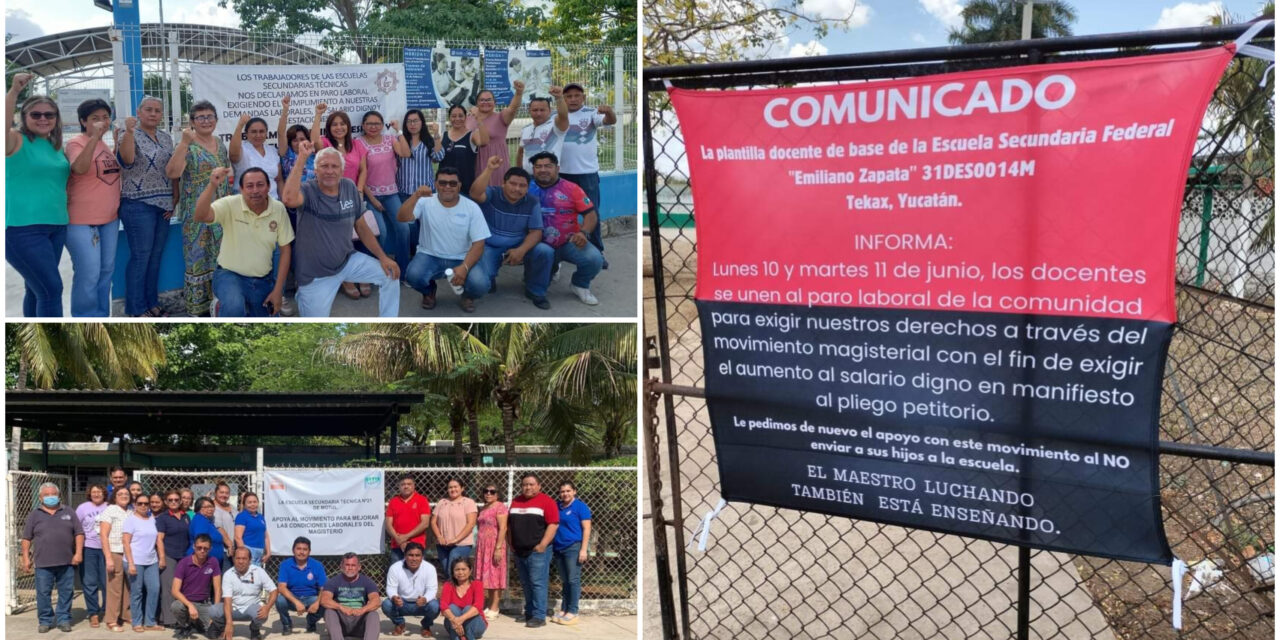 Comisión docente fija acuerdos con Segob, pero sigue paro