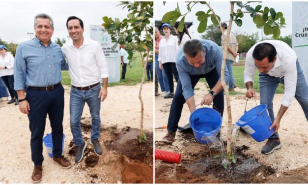 Cruzada Forestal 2024 Mérida, un mes para reforestación