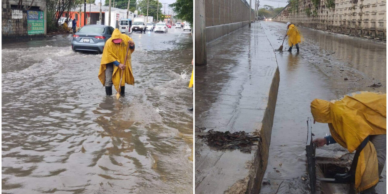 Entre 150 y 200 reportes en Mérida por ‘mal tiempo’; cuadrillas en colonias y comisaría