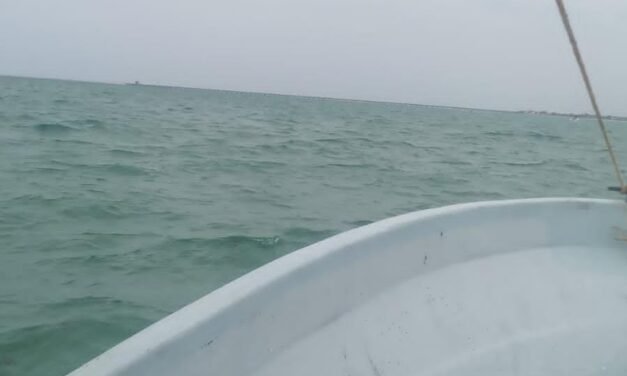 Aparece buzo sin vida en altamar cerca de Arrecife Alacranes