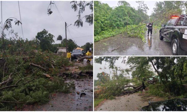 Entró «Beryl» a Yucatán con menor fuerza: baja a categoría 1