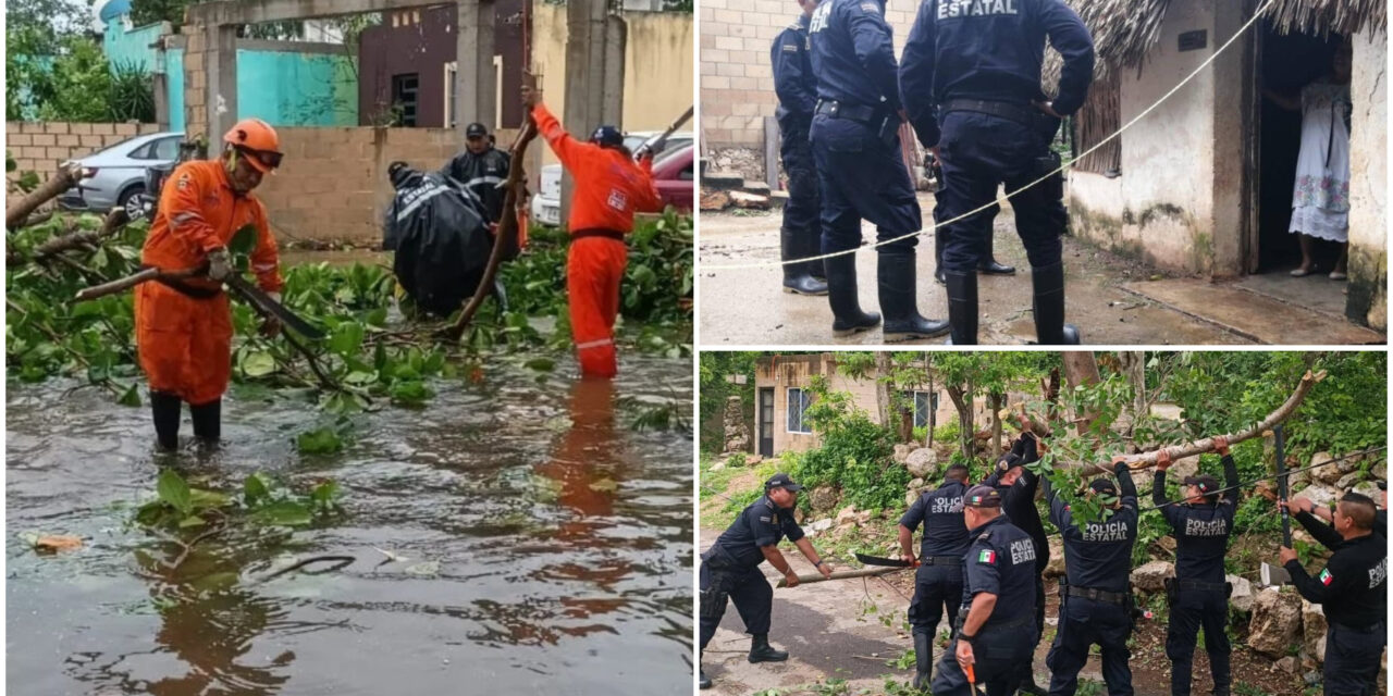 “Beryl”, más susto que daños en Yucatán