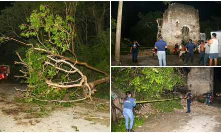 Tiró “Beryl” más de mil 900 árboles y 54 postes en Yucatán; 83 viviendas afectadas