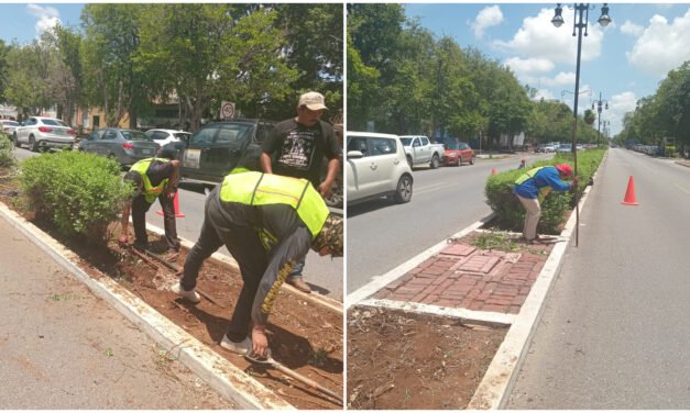 Paseo de Montejo tendrá nuevo sistema de riego