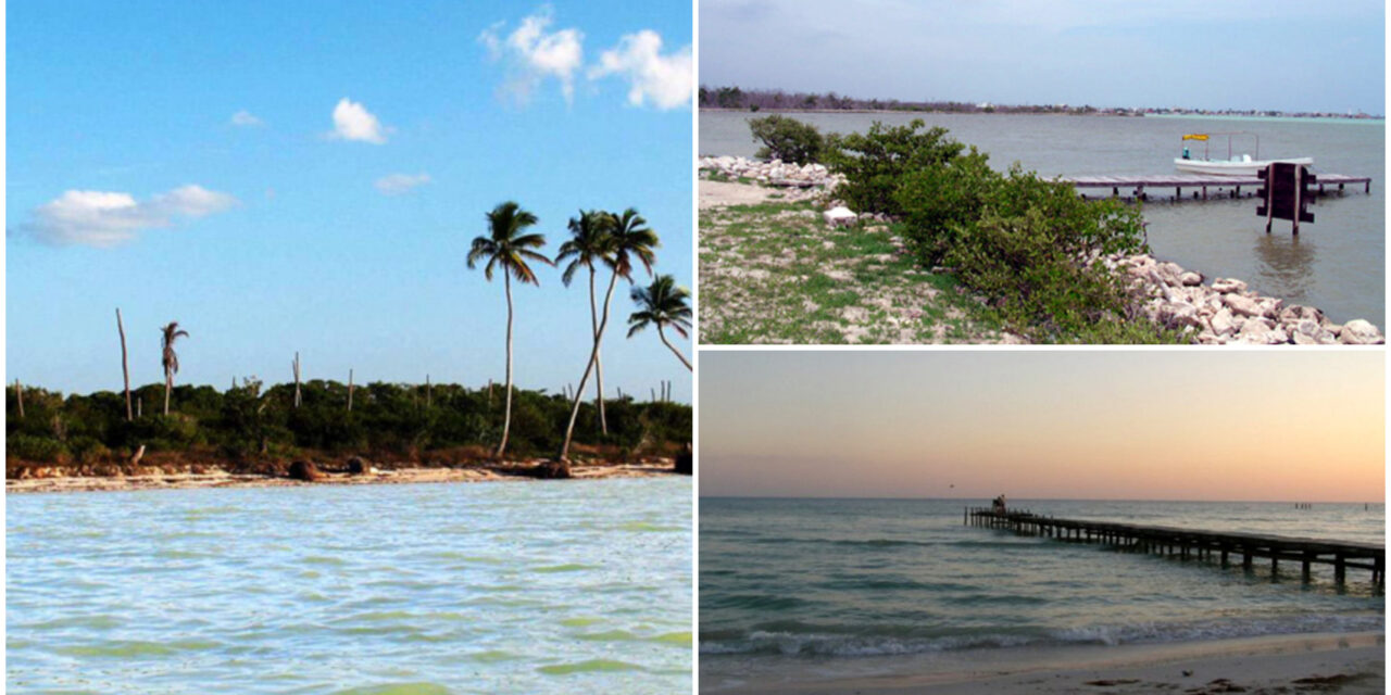 Playas de El Cuyo, San Felipe, Las Coloradas y Río Lagartos, con alta concentración de heces fecales