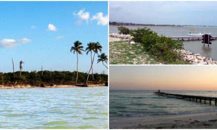 Playas de El Cuyo, San Felipe, Las Coloradas y Río Lagartos, con alta concentración de heces fecales