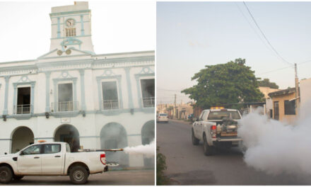 Colonias de Mérida y otros municipios, en lucha contra moscos