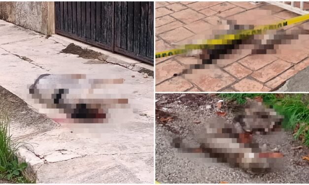 Envenenamiento masivo de animales en colonia García Ginerés