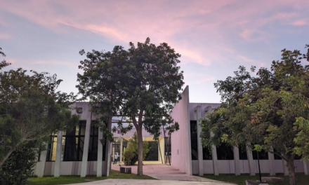 Cesan a rector de Universidad Politécnica de Yucatán por presunto acoso