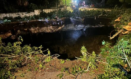 Se abre tierra en Xocén, se traga árbol de ceiba y desata augurios