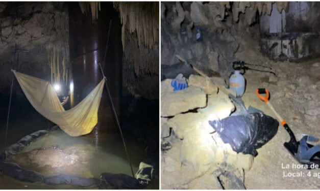 ‘Impunidad’ en obras de Tramo 5 Sur del Tren Maya, acusa ambientalista