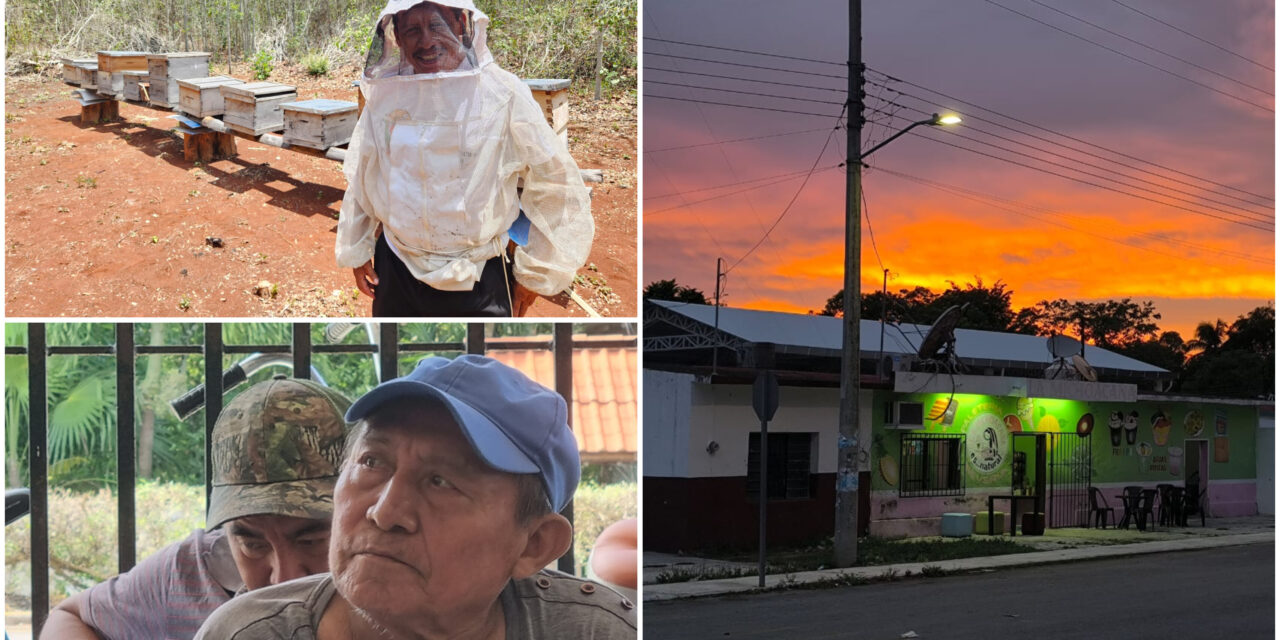 Cambio climático golpea a la apicultura del norte de Quintana Roo