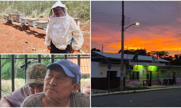 Cambio climático golpea a la apicultura del norte de Quintana Roo