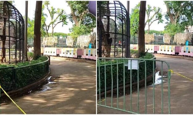 Paran de nuevo el trenecito del parque Centenario